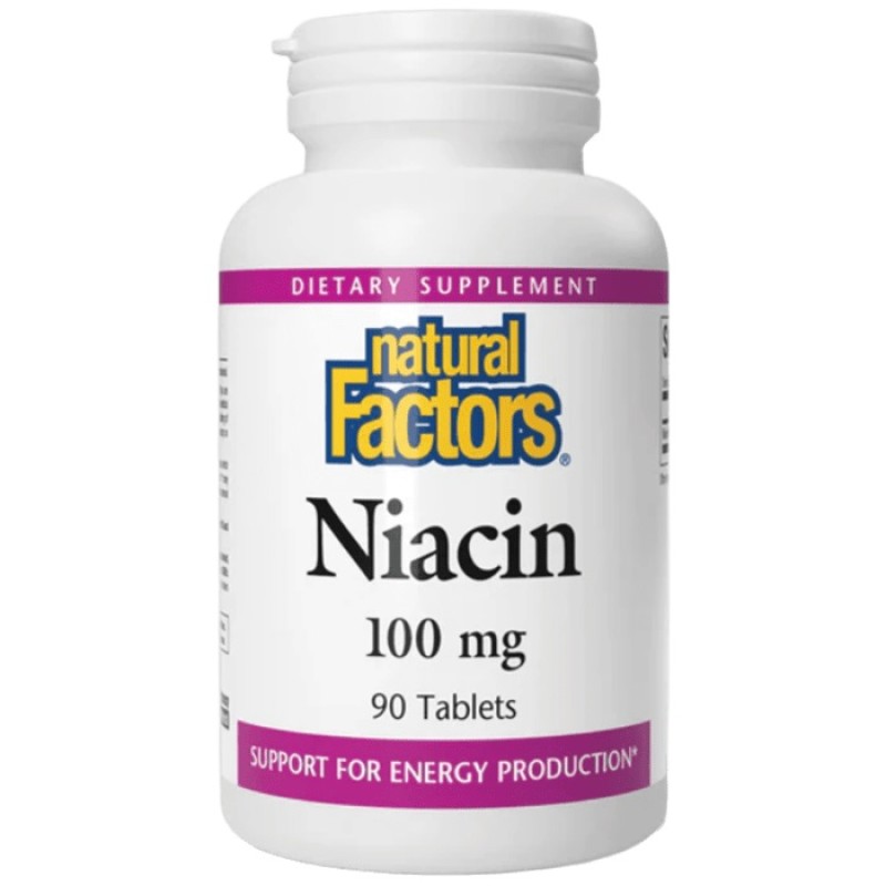 Natural Factors Niacin 100 mg, 90 Tablets