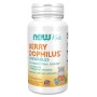 NOW BerryDophilus Kids, 60 Chewables