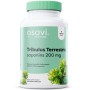Osavi Tribulus Terrestris 200 mg Saponins, 120 Vegan Capsules