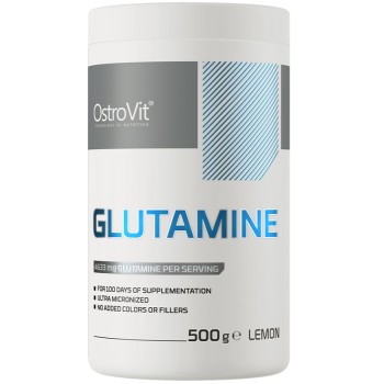 OstroVit Glutamine Flavor, 500 Grams